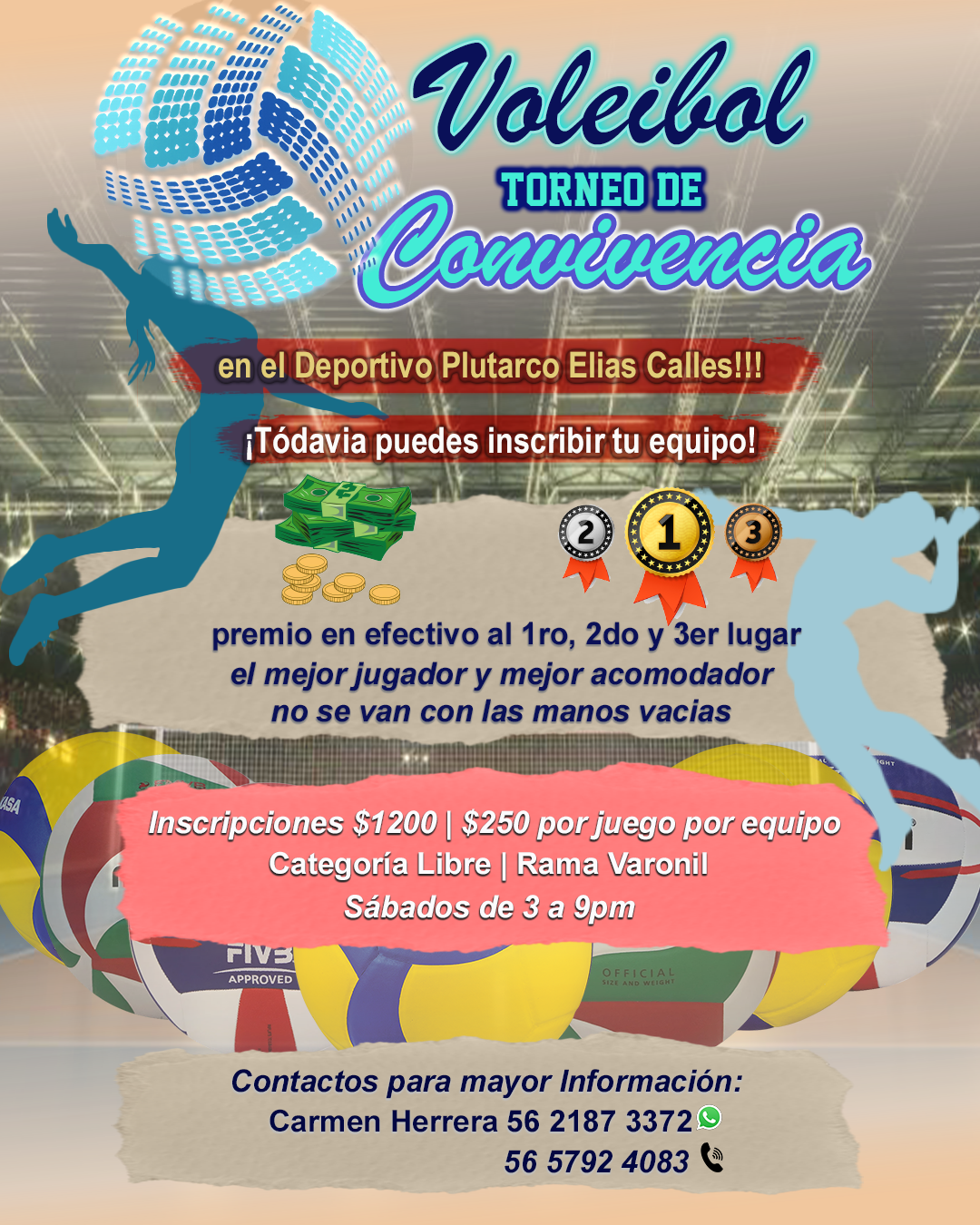 Voleibol - Torneo CONVIVENCIA
